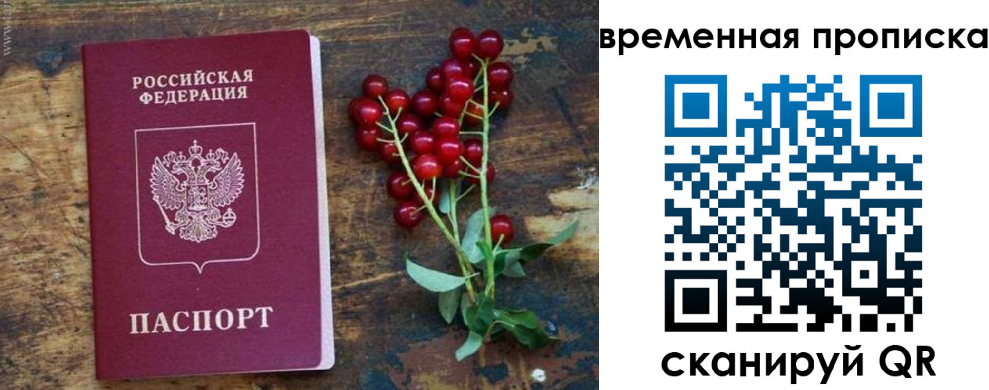 временная регистрация гарантия в Вологодской области